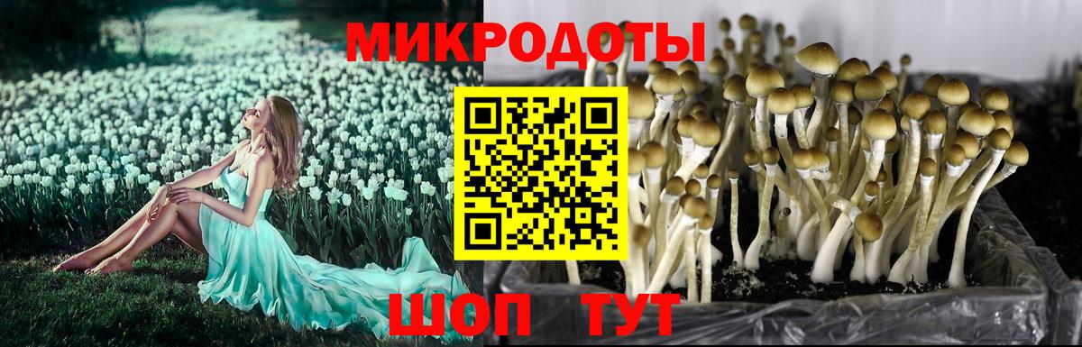 Псилоцибиновые грибы GOLDEN TEACHER Феодосия